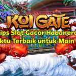 tips slot gacor Habanero di Koi Gate dengan wild koi dan free spin untuk maxwin